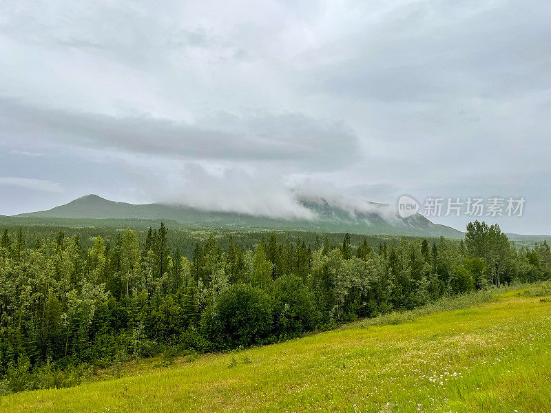 加拿大育空地区阿拉斯加公路(Alcan Highway)沿线的北方森林